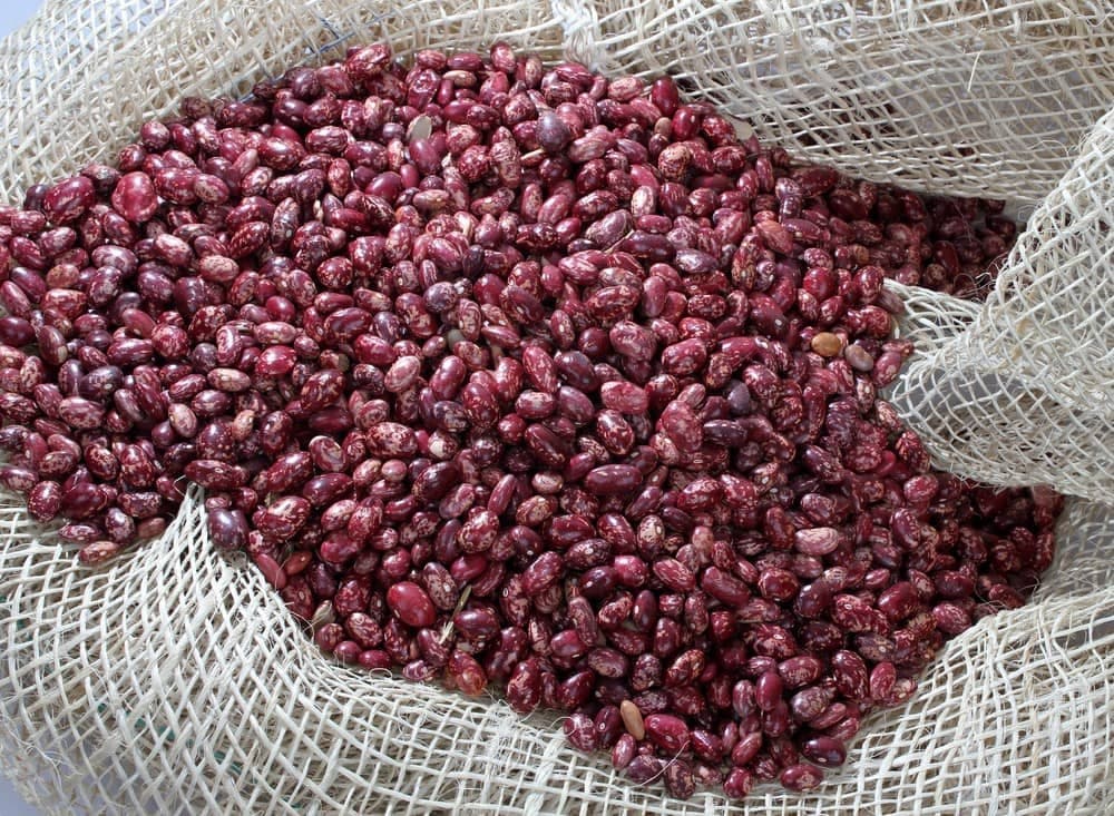Frijol Cargamanto Rojo 1 Kg